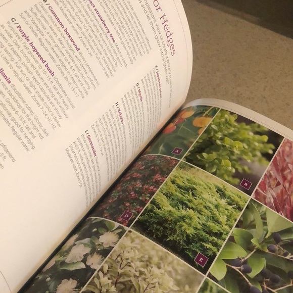 New Sunset Western Garden Book The 20 Minute Gardener. Projects, Plants, Designs - Picture 9 of 12